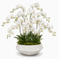 A white Phalaenopsis orchid arrangement with multiple stems of white flowers and green leaves, displayed in a textured light gray ceramic pot filled with green moss, on a plain white background.
