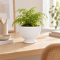 Kerry Ceramic Pedestal Planter