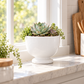 Kerry Ceramic Pedestal Planter
