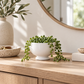 Kerry Ceramic Pedestal Planter