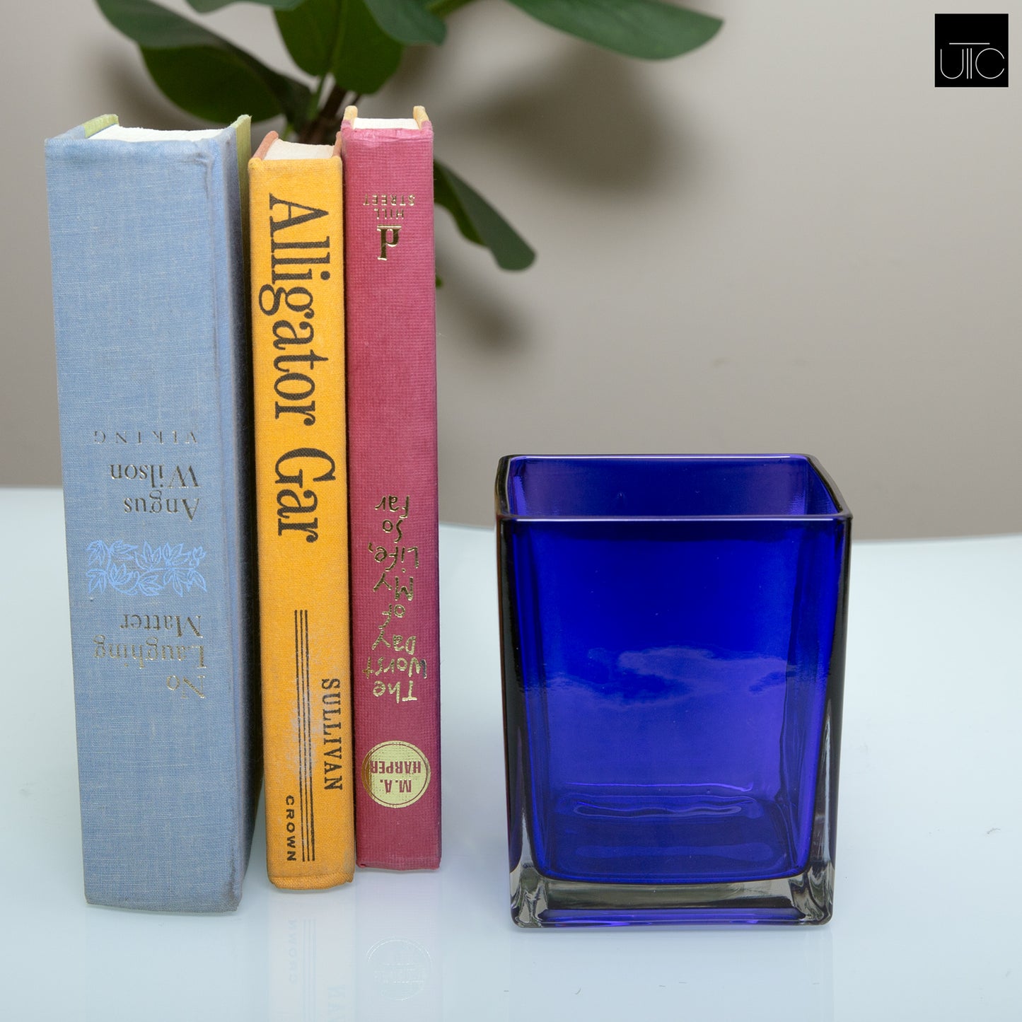 Lizze Clear Glass Cube Vase