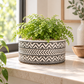 Mara Ceramic Wide Round Tribal Pot