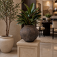 Nuelle Textured Terracotta Vase