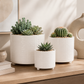 Ovie Diamond Ceramic Planters (Set of 3)