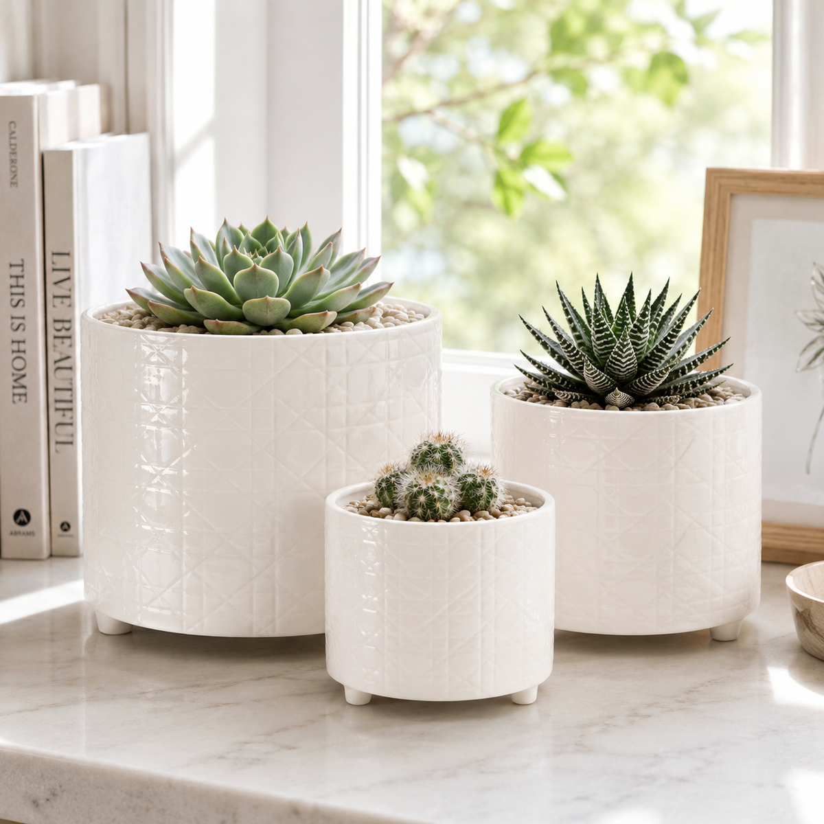 Ovie Diamond Ceramic Planters (Set of 3)