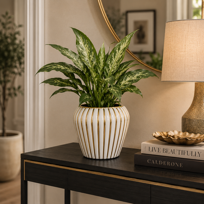Prima Ribbed Ceramic Planter