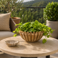 Rena Fluted Cement Bowl Planter