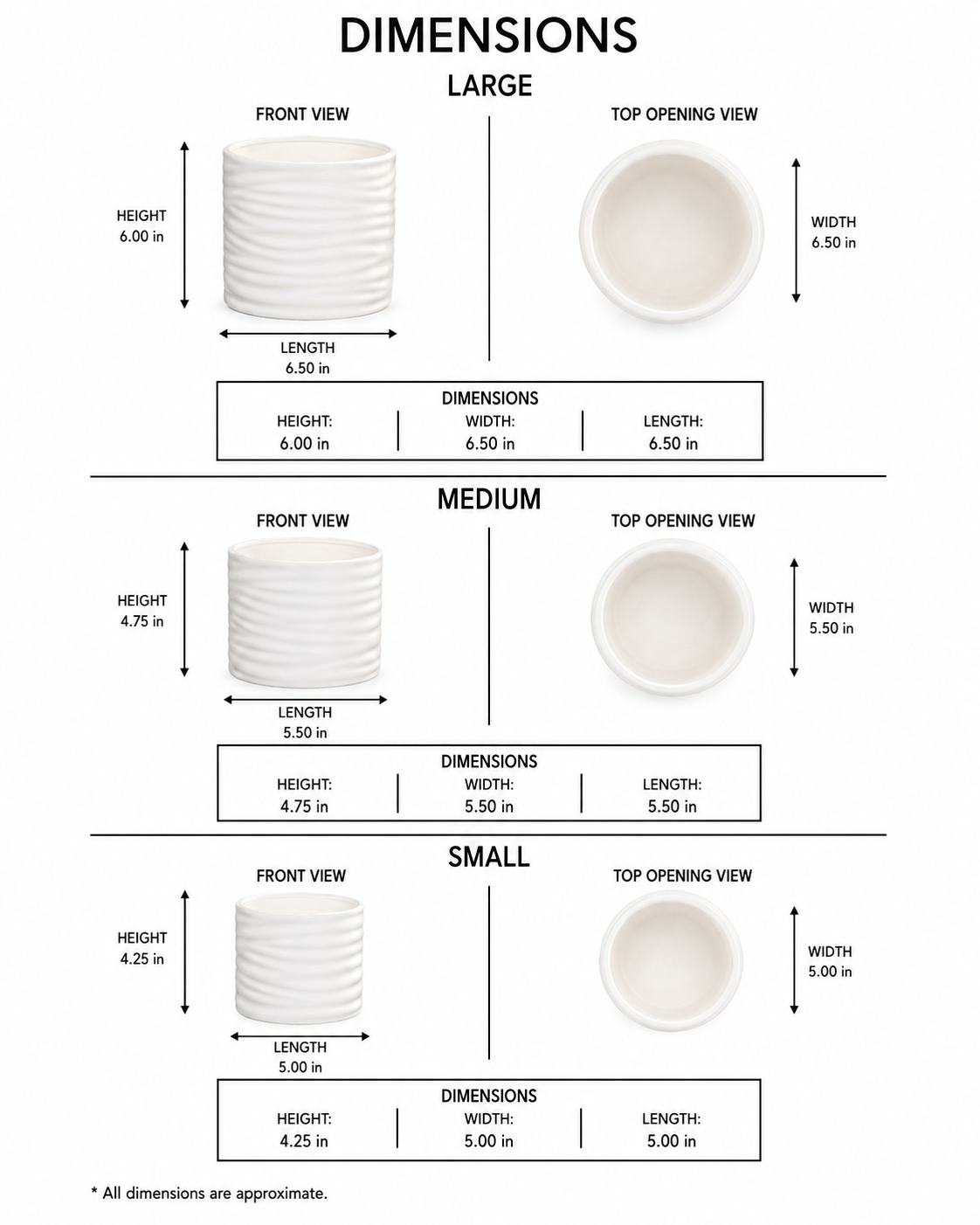 Rhesia Gloss Ribbed Ceramic Pot (Set of 3)