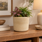 Romi Minimalist Cylindrical Ceramic Planter