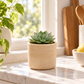 Romi Minimalist Cylindrical Ceramic Planter