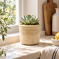 Romi Minimalist Cylindrical Ceramic Planter