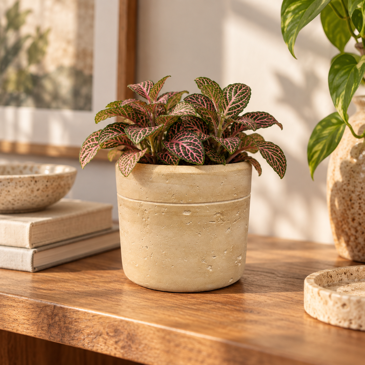 Romi Minimalist Cylindrical Ceramic Planter