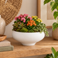 Rowan Cement Decorative Bowl