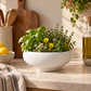 Rowan Cement Decorative Bowl