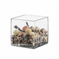 Bria Square Glass Vase