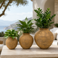 Wisteria Artisan Terracotta Vase - Small