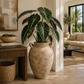 Zein Large Terracotta Amphora Vase with Handles - Small
