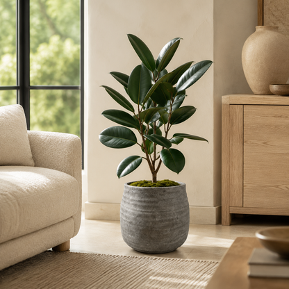 Larysa Ribbed Cement Planter