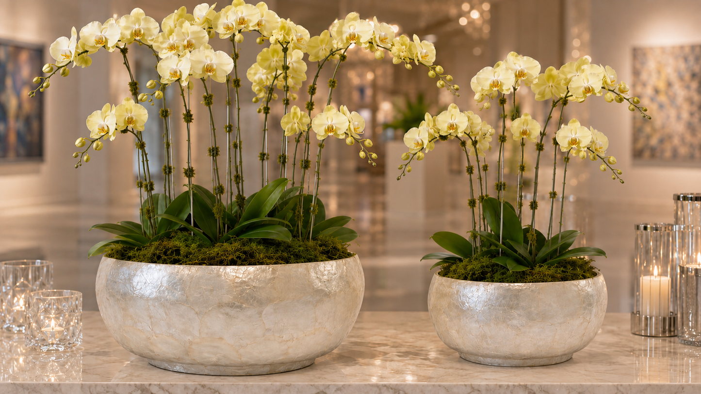 Hazen Capri Shell Round Planter Set (Set of 2)