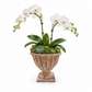 Lerie Fluted Cement Compote Bowl