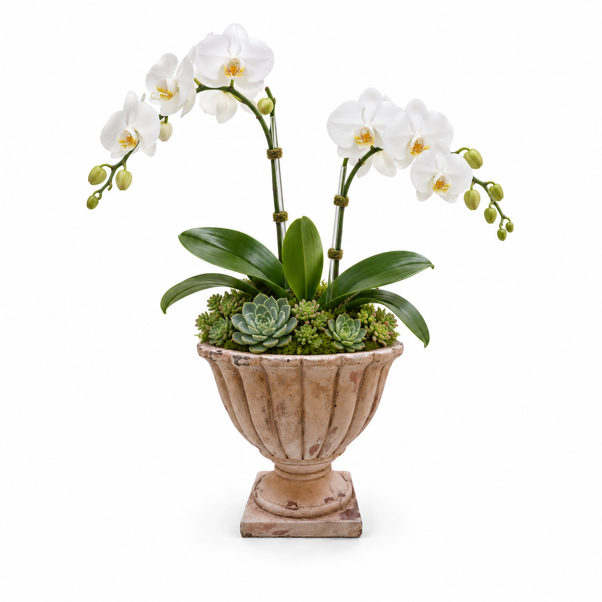Lerie Fluted Cement Compote Bowl