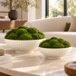 Alexis Fluted Ceramic Bowl Planters (Set of 2)
