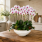 Camry Stoneware Flower Pot