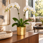 A potted white orchid plant with two flowering stems sits on a wooden console table in a softly lit living room. The pot is metallic gold with a textured finish, and the plant has green leaves and yellow accents in the flower centers.