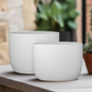 Dovara Symmetry Oval Ceramic Planter Set (Set of 2)
