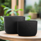 Ceryn Symmetry Oval Planter Set (Set of 2)