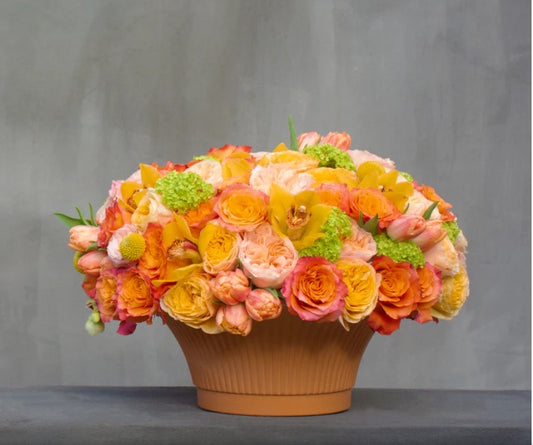 Piper Terracotta Round Planter Set (Set of 2)